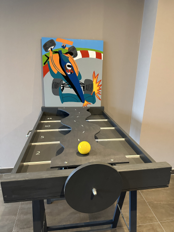 Wiebelplank de crash