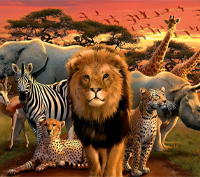 Spellen huren voor een safari feestje Spellen huren voor een safari feestje